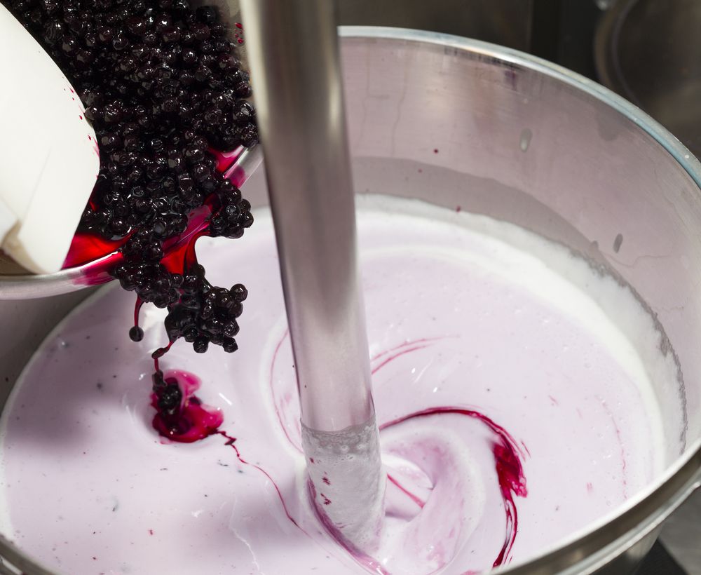 4 vantagens de fabricar o próprio sorvete na sua loja